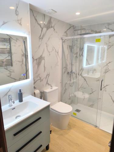 a bathroom with a shower and a toilet and a sink at Habitación turística in Irún