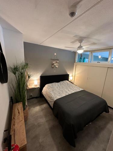 a bedroom with a bed and a window at Dünenblick am Meer aber 400 meter entfernt, mit renoviertem Badezimmer in Julianadorp