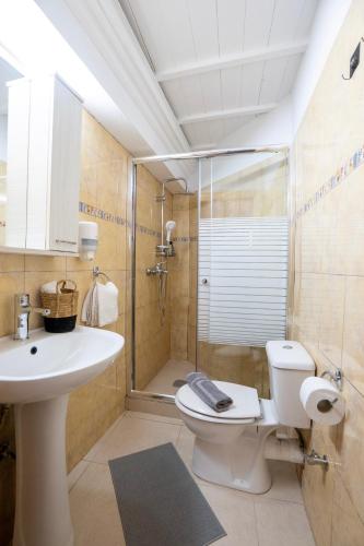 a bathroom with a toilet and a shower and a sink at Eleon Luxury Villa in Karpathos