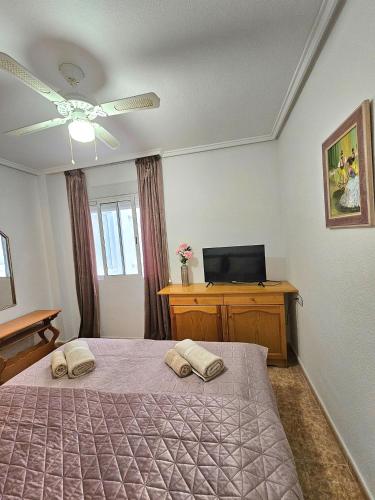 Lucy apartments