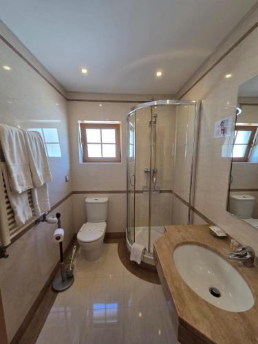 a bathroom with a shower and a toilet and a sink at Villa dos Teixos in Cascais