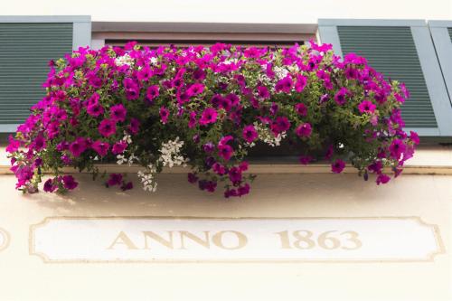 a window box with pink flowers on a building at Hotel Obermaier in Munich