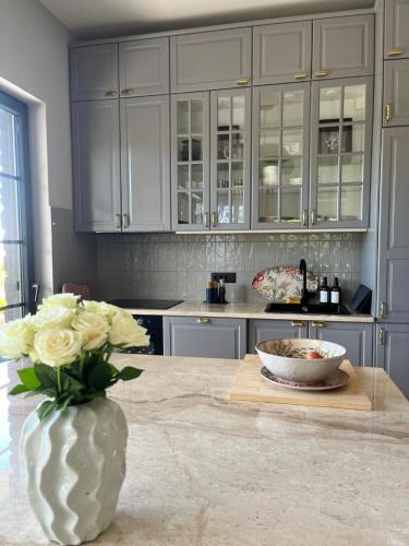 Η κουζίνα ή μικρή κουζίνα στο Luxury Apartment St Hedonist with Pool and Garden