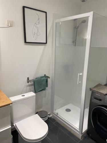 une salle de bain avec des toilettes blanches et une douche dans l'établissement Le paisible F2 à 300 m du centre ville, à LʼHay-les-Roses