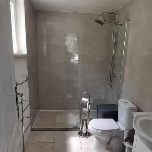 a bathroom with a shower with a toilet and a sink at Grofova Kuća in Lipovlje