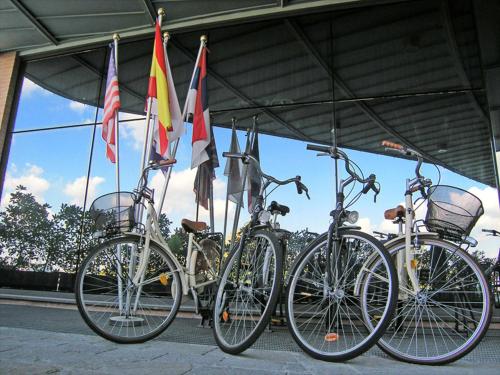un gruppo di biciclette parcheggiate sotto un edificio con bandiere di Dado Hotel International a Parma