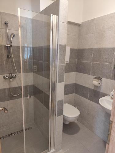 a bathroom with a shower and a toilet and a sink at Apartmány ORAVA-EDDA in Trenčianske Teplice
