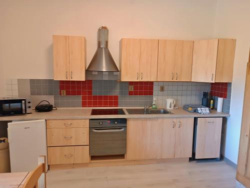 a kitchen with wooden cabinets and a sink at Dolní Žleb 124 in Děčín