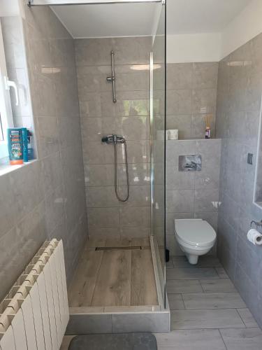 a bathroom with a shower and a toilet at Dolní Žleb 124 in Děčín