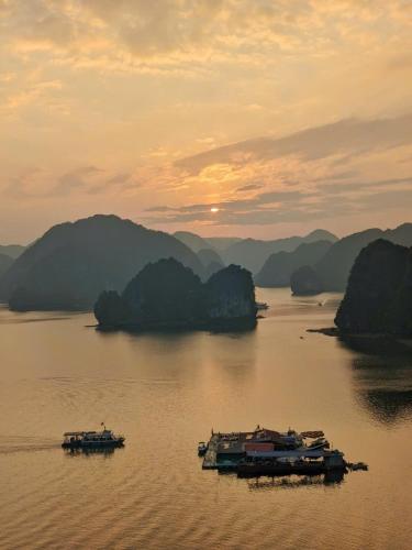 a group of boats in the water at sunset at Cat Ba Viet Hoa Hotel & Residence - Pool & Bar in Cat Ba