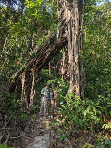 two people standing in front of a tree at Cat Ba Viet Hoa Hotel & Residence - Pool & Bar in Cat Ba