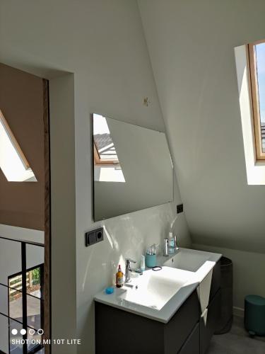 a bathroom with a sink and a mirror at Luxury eco home with large garden and lots of light in Ons Belang