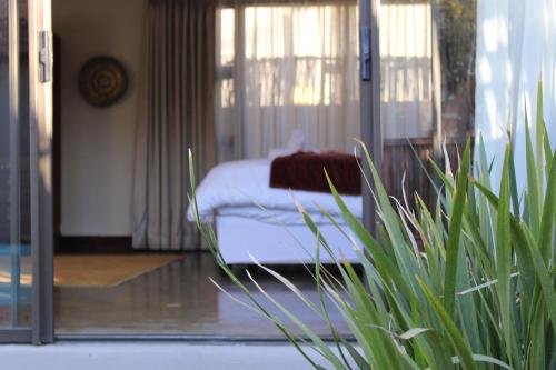 a bedroom with a bed and a plant in the foreground at Abiento Guesthouse in Bloemfontein
