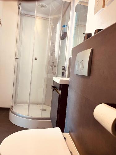 a bathroom with a shower and a toilet at Casa Romano in Lüneburg