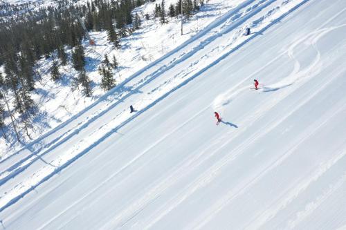 a group of people skiing down a snow covered slope at Stöten Mitt Lägenheter in Sälen