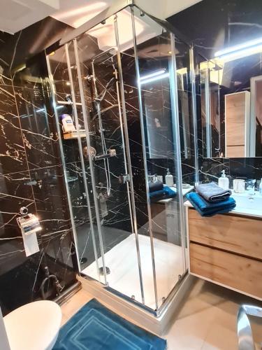 La salle de bains est pourvue d'une douche et d'une cabine de verre. dans l'établissement Lovely Apartment with a Rooftop View in Aix, à Aix-en-Provence