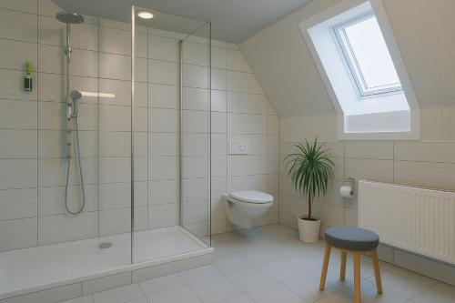 a bathroom with a shower and a toilet and a window at Konsum Berghotel Oberhof in Oberhof