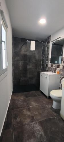 a bathroom with a shower and a toilet and a sink at La casita in Pontevedra