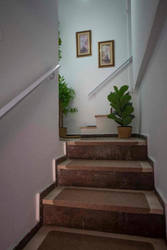 a stairway with a potted plant and two pictures at Enetiko Apartments in Chios
