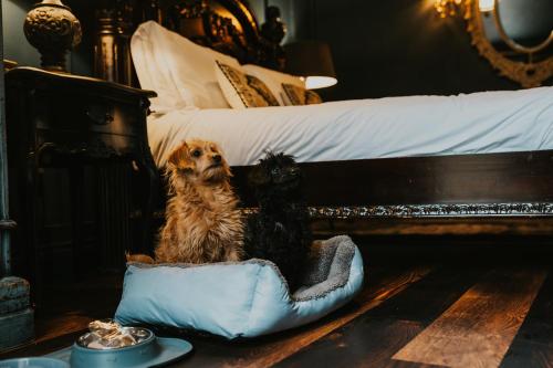 a dog sitting in a dog bed next to a bed at Le Petit Chateau & William de Percy in Otterburn
