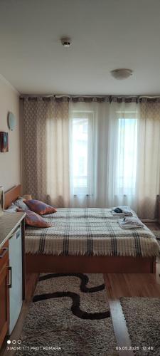 a large bed in a room with a window at Gondola area, Cedar Lodge 4, apart D30, Bansko in Bansko