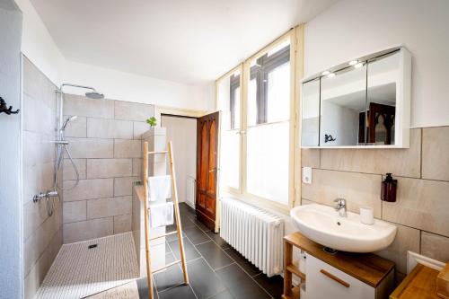 a bathroom with a sink and a shower at Schloss Arenfels in Bad Hönningen