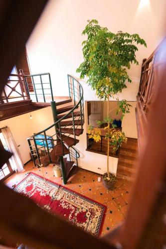 a room with a staircase and a tree in it at Vườn Tùng RiverSide retreat & Villa - KDT ECOPARK in Kim Quan