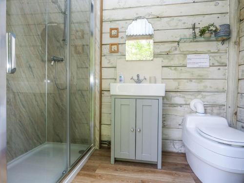 a bathroom with a shower and a sink and a toilet at Sika in Dorchester
