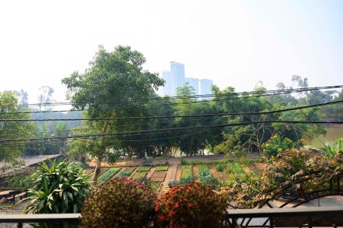 a view of a garden in a park at Vườn Tùng RiverSide retreat & Villa - KDT ECOPARK in Kim Quan