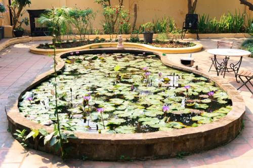 a pond filled with lots of lilies in a courtyard at Vườn Tùng RiverSide retreat & Villa - KDT ECOPARK in Kim Quan