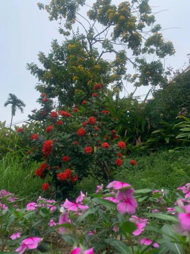 a bush of flowers in front of a tree at Vườn Tùng RiverSide retreat & Villa - KDT ECOPARK in Kim Quan