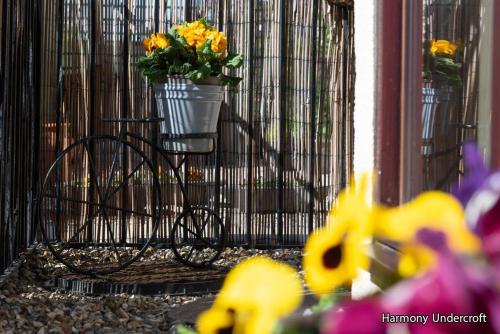a wrought iron fence with a pail of flowers at Harmony Undercroft in North Berwick