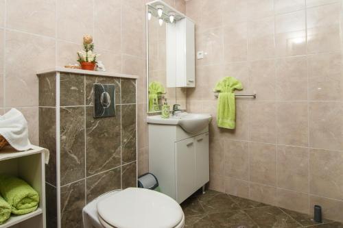 a bathroom with a toilet and a sink at Apartments Villa Stari Koko in Omiš