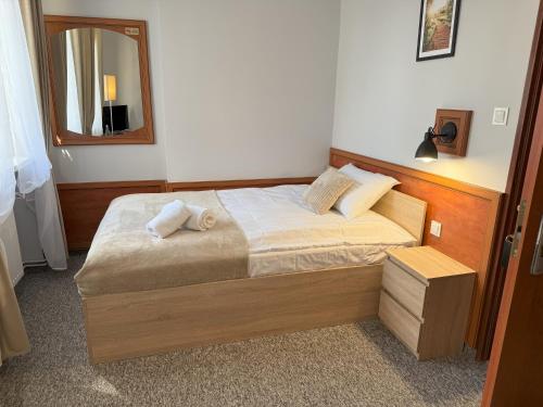 a bedroom with a bed with a mirror on the wall at Adalbertus Dom Pielgrzyma in Gniezno