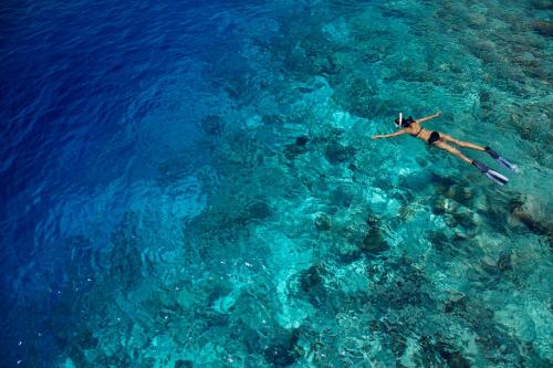 a person laying on a surfboard in the water at Dusit Thani Maldives - 50 percent discount on transfers for stays until 20 Dec 2025 in Baa Atoll