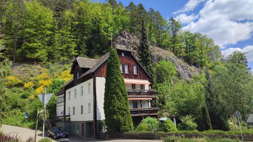 a house with ivy growing on the side of a mountain at Haus Wander-Lust in Lauterbach