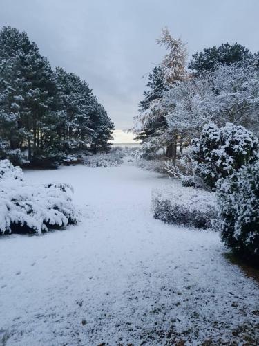 a yard covered in snow with trees and bushes at Copenhagen Denmark by the Sea Villa Solrd Strand in Solrød Strand