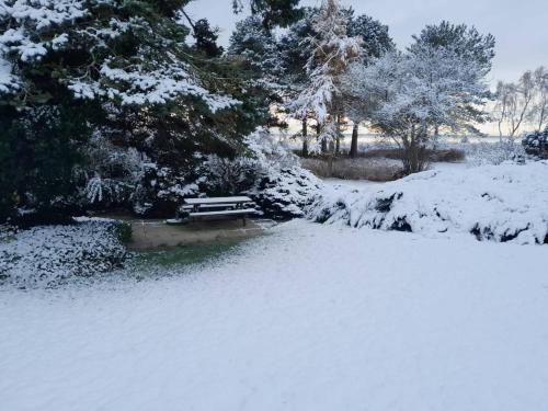 a bench covered in snow in a park at Copenhagen Denmark by the Sea Villa Solrd Strand in Solrød Strand