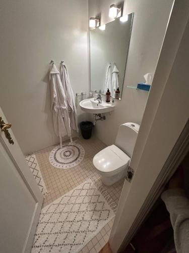 a bathroom with a sink and a toilet and a mirror at Copenhagen Denmark by the Sea Villa Solrd Strand in Solrød Strand