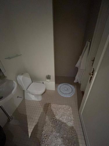 a small bathroom with a toilet and a sink at Copenhagen Denmark by the Sea Villa Solrd Strand in Solrød Strand