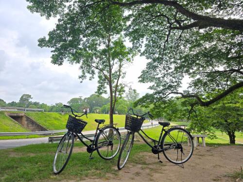 two bikes parked next to a bench under a tree at Ang Kaew Pool Villa 4BR 5 Min Drive to Nimmanhemin in Chiang Mai