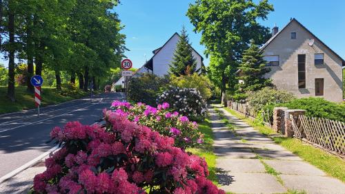 a street with flowers on the side of the road at Ferienwohnung zentrale Lage Parkplatz kostenlos Grill Terrasse Fahrradraum Kromlau in Kromlau