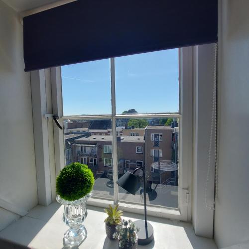 a window with a blue shade on a table with plants at The Rooftop Retreat - by The M House in Arnhem