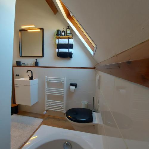 a bathroom with a toilet and a sink and a mirror at The Rooftop Retreat - by The M House in Arnhem
