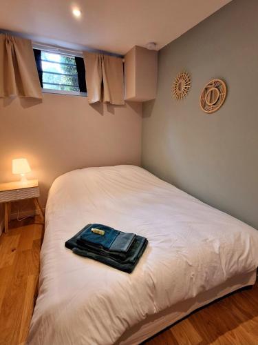 une chambre avec un lit avec un peignoir dessus dans l'établissement Charmant studio calme & cosy Rennes, à Rennes