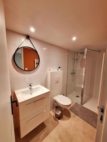 une salle de bain avec toilettes, lavabo et douche dans l'établissement Charmant studio calme & cosy Rennes, à Rennes