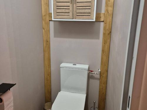 La salle de bains est pourvue de toilettes et d'une armoire. dans l'établissement Charmant T2 au centre de Cauterets avec parking, ascenseur et équipements modernes - FR-1-234-312, à Cauterets