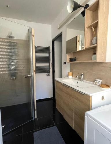 une salle de bain avec un lavabo et une douche dans l'établissement Appart Idéalement situé et proche du théatre antique, à Orange