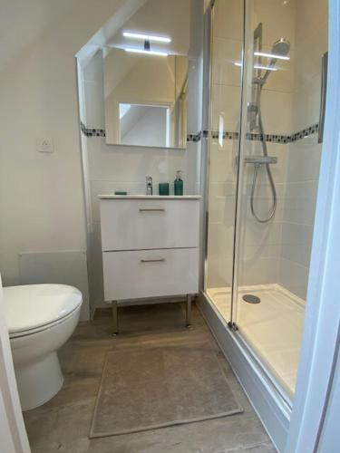 une salle de bain avec une douche, des toilettes et un lavabo dans l'établissement Petite maison indépendante à 7mn de la plage, à Douvres-la-Délivrande