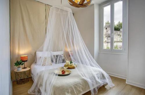 a bedroom with a bed with a mosquito net at La suite végétale, spacieuse et hyper centre in Angoulême